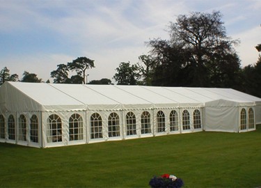tent519